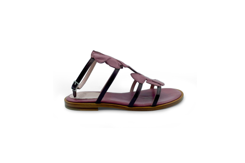 Ibiscus vitello  flat